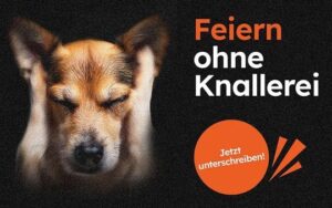 Feuerwerksinititative: Jetzt Stellungnahme unterzeichnen