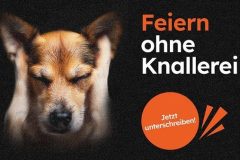Feuerwerksinitiative_Vernehmlassung_Gegenvorschlag