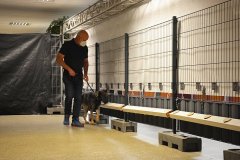 csm_PM221111_Konzertreihe_Spuerhunde_Resultate_57877eaef7
