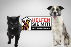 WAD-Aufmacher-DE