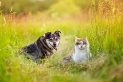 csm_198360.rgb_28f1b81442