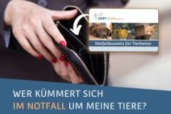 2025_11_Bild_MM_Notfallausweis_klein-002