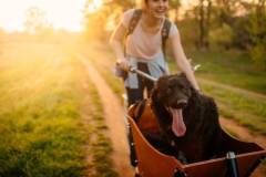 csm_iStock_AleksandarNakic_38f50aebff