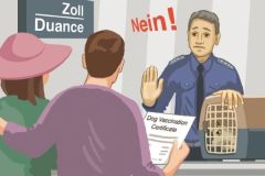SUST_SpieleNichtMitMeinemLeben_COMIC_ZOLL