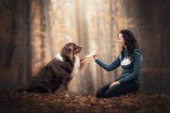 csm_IVH_mit_Hund_im_Wald_667f99bc27
