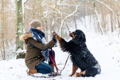 csm_176798.rgb_0b9adb1be3