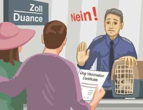 Wenn Tierliebe tödlich endet