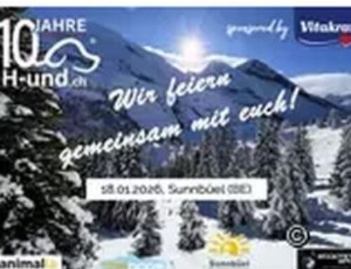 H-und.ch Jubliäumstag: Winterabenteuer mit Hund auf Sunnbüel (BE), 18.01.2026