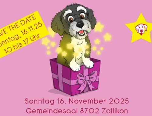Vicos Welt, Hundeweihnachtsmarkt 2025