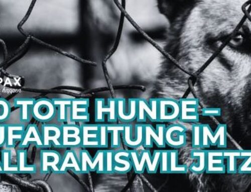 Offener Brief an Frau Jecker zum Fall Ramiswil SO