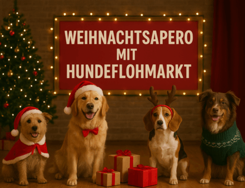Weihnachtliches Meet+Greet
