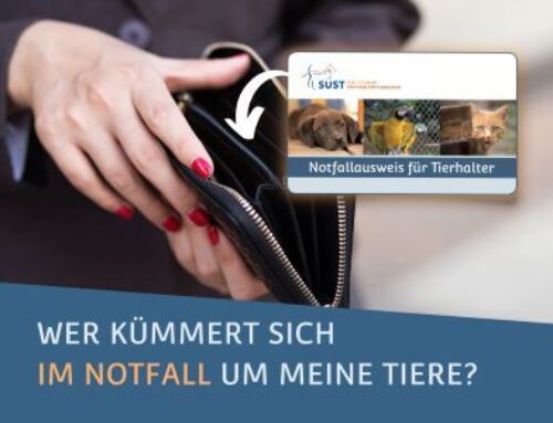 Notfallausweis für TierhalterInnen – kleine Karte mit grossem Nutzen