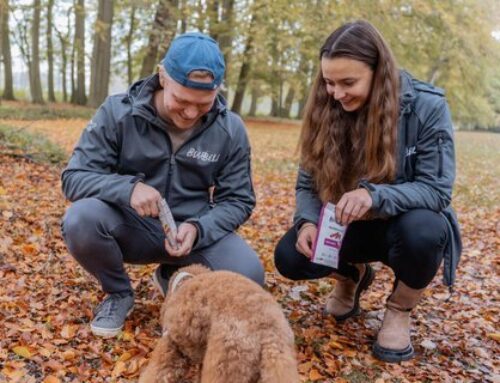 So kommt der Hund gesund durch den Winter